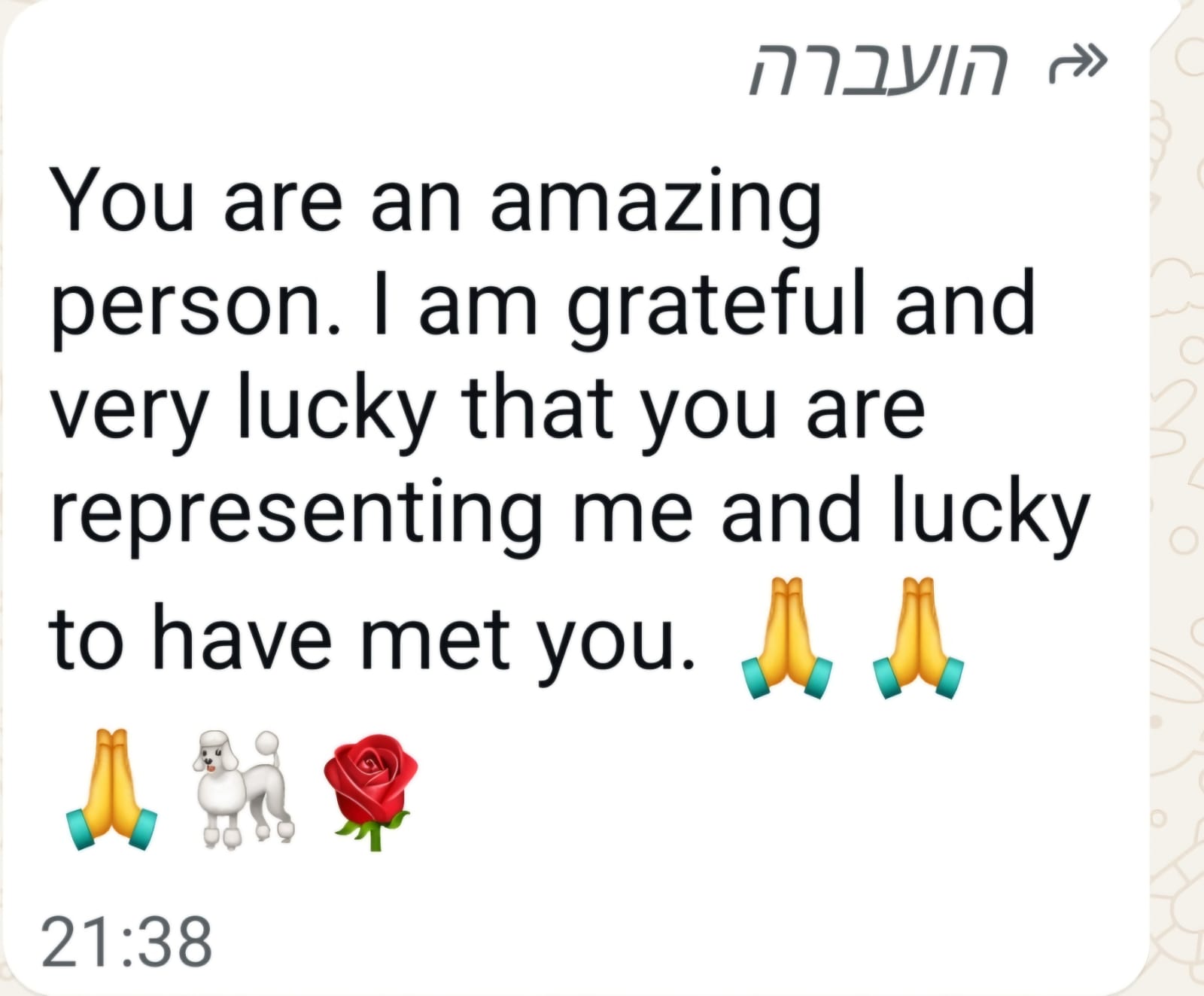 המלצה מלקוח - You are an amazing person